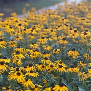 Meet your Posher, Kristin